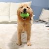 Food Dispenser Puppy Chewing Training Squeaky Leakage Ball Teething Toy Puzzle Dog Molars Clean Teeth Bite-Resistant Bouncy Ball Rubber Ball - Green