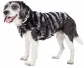 Pet Life Luxe 'Chauffurry' Beautiful Designer Zebra Patterned Mink Fur Dog Coat Jacket