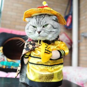 Party Clothes Funny Pet Costumes Halloween Costume Suit (Option: Emperor, size: M)