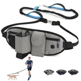 Hands Free Dog Leash with Waist Bag for Walking Small Medium Large Dogs;  Reflective Bungee Leash with Car Seatbelt Buckle and Dual Padded Handles;  A (Option: Grey, size: 1 dog)