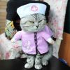 Party Clothes Funny Pet Costumes Halloween Costume Suit