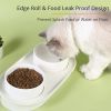 Elevated Cat Bowls, Raised Cats Ceramic Food and Water Stand Bowl Dishes for Cats Small Dogs or Puppy, 15æŽ³ Tilted Anti Vomiting Stress Free Feeder D