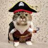 Party Clothes Funny Pet Costumes Halloween Costume Suit